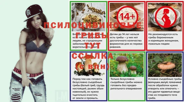 а пвп мука Медвежьегорск