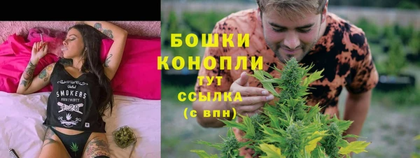 дурь Мегион