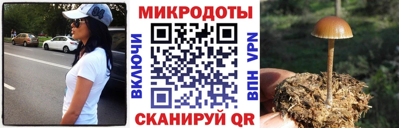 Псилоцибиновые грибы GOLDEN TEACHER  ОМГ ОМГ вход  Емва 