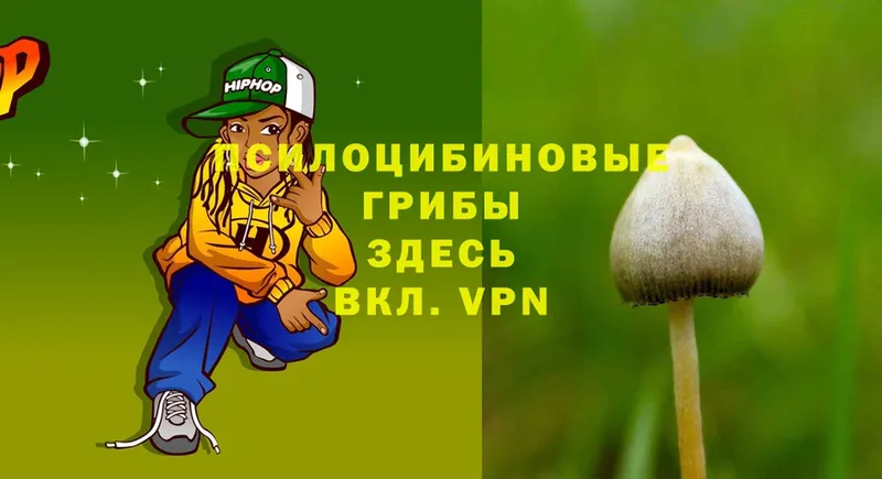 Галлюциногенные грибы MAGIC MUSHROOMS Емва